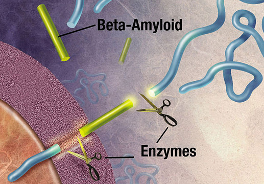 Beta-amyloid