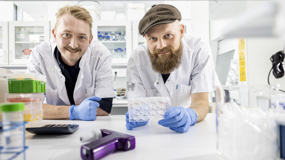 I laboratoriet i Nationalt Videnscenter for Demens dyrker seniorforsker Patrick Ejlerskov og ph.d.-studerende Emil Elbæk Henriksen hjerneorganoider – det man også kalder minihjerner.