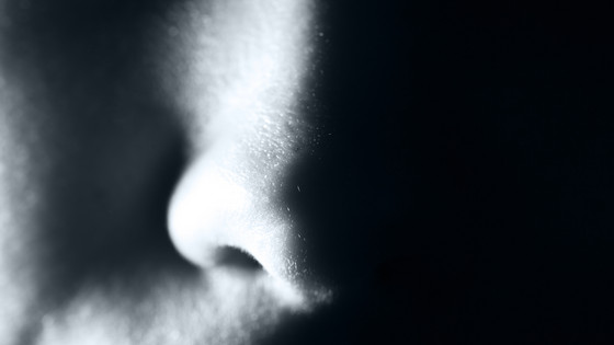 Nedsat lugtesans er et af de tidligste kliniske symptomer på udvikling af Lewy body demens