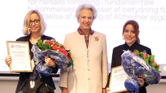 Priser og bevillinger fra Alzheimer-forskningsfonden